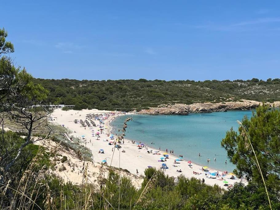 Precioso En Primera Linea De Mar Appartement *